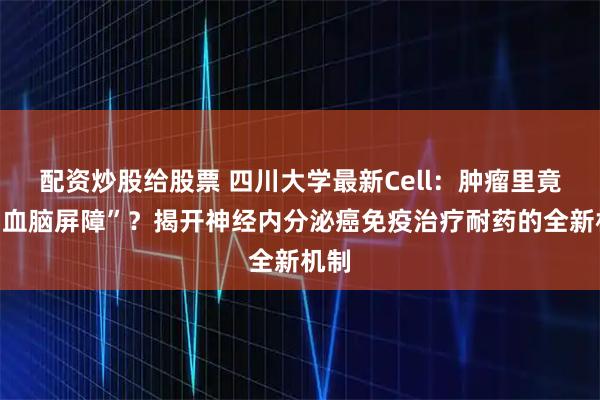 配资炒股给股票 四川大学最新Cell：肿瘤里竟有“血脑屏障”？揭开神经内分泌癌免疫治疗耐药的全新机制