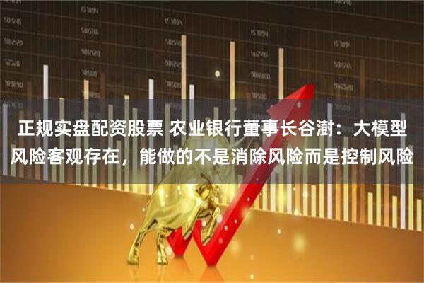 正规实盘配资股票 农业银行董事长谷澍：大模型风险客观存在，能做的不是消除风险而是控制风险